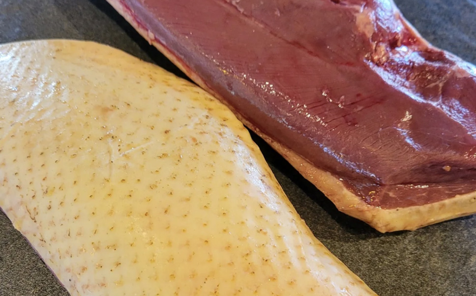 A close-up shot of a raw duck breast resting skin-side down on a dark surface, showcasing the rich, deep red color of the meat. A thick, clean layer of creamy white fat is visible along the side and bottom edge of the cut.